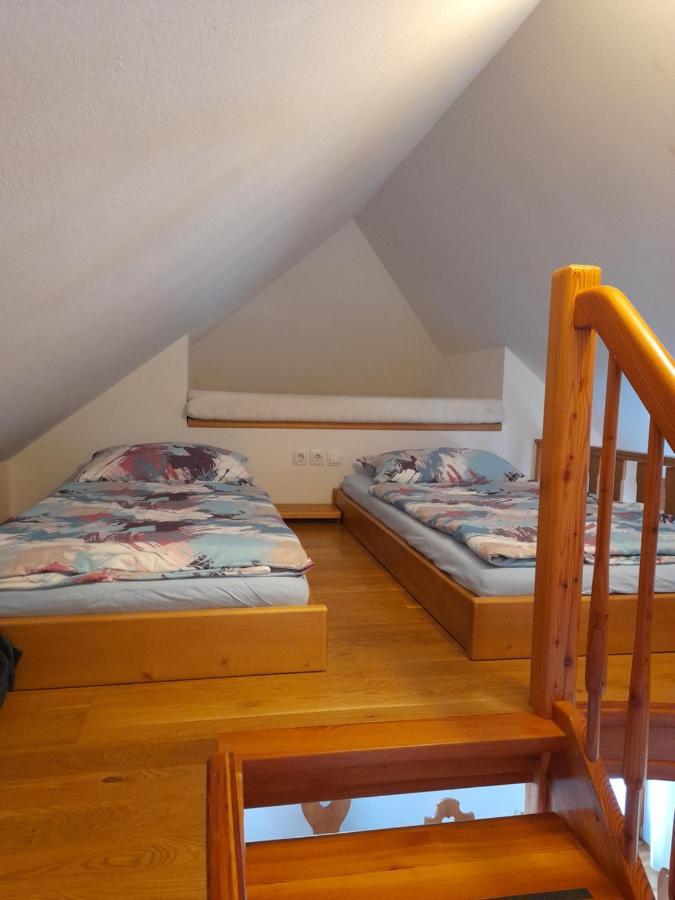 Apartma In Bungalov Jezerci Gozd Martuljek Eksteriør billede
